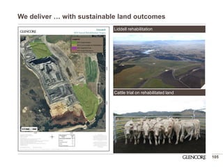 We deliver … with sustainable land outcomes 
105 
Liddell rehabilitation 
Cattle trial on rehabilitated land  
