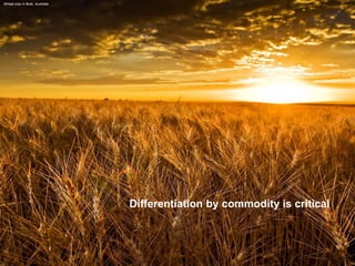 Differentiation by commodity is critical 
Wheat crop in Bute, Australia  