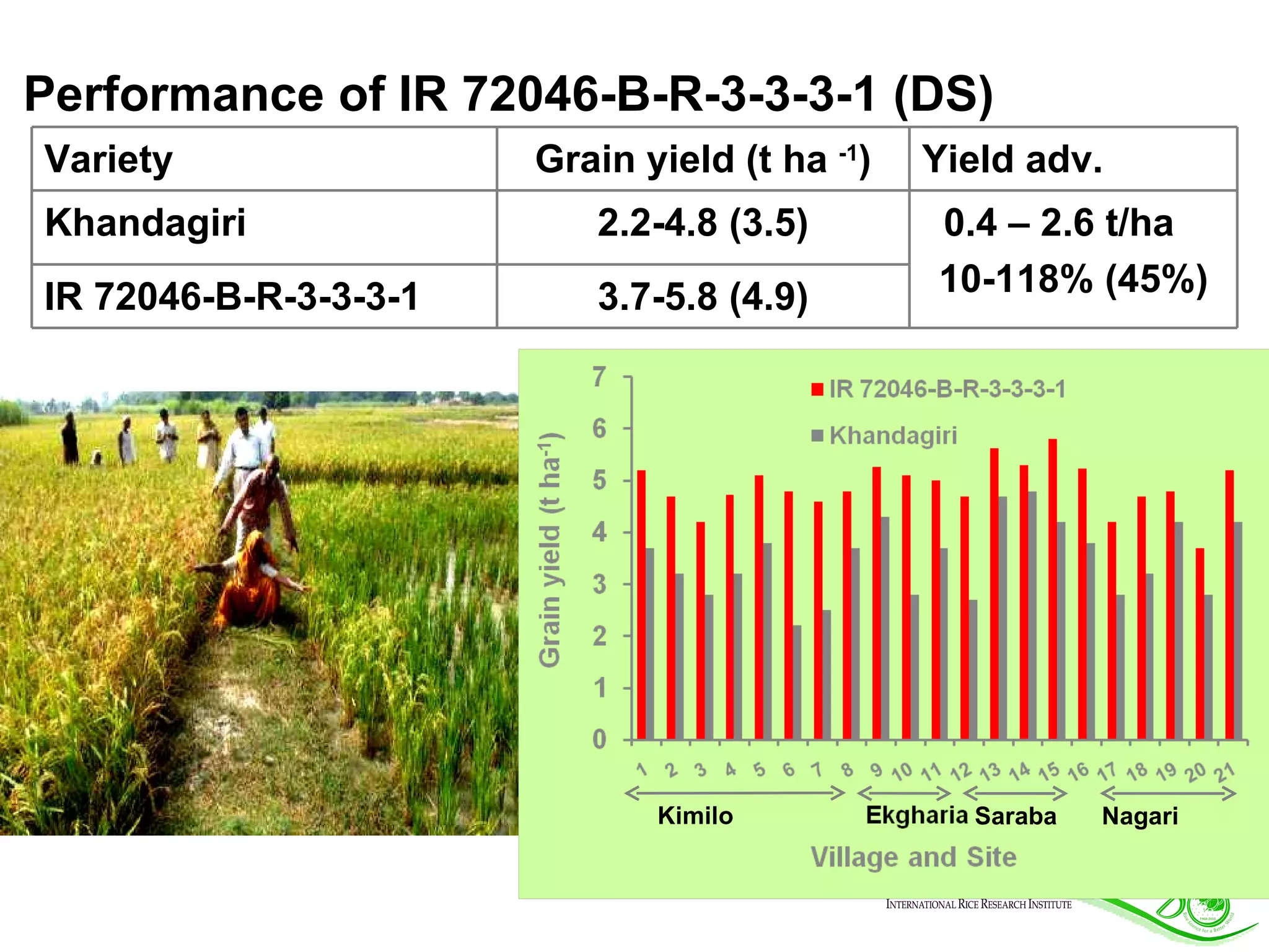 Performance of IR 72046-B-R-3-3-3-1 (DS) Kimilo Saraba Nagari Variety Grain yield (t ha  -1 ) Yield adv.  Khandagiri 2.2-4.8 (3.5) 0.4 – 2.6 t/ha 10-118% (45%) IR 72046-B-R-3-3-3-1 3.7-5.8 (4.9) 