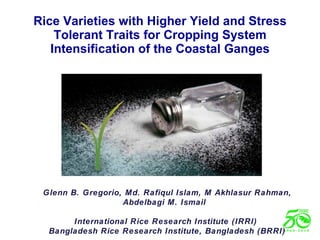 Rice Varieties with Higher Yield and Stress Tolerant Traits for Cropping System Intensification of the Coastal Ganges Glenn B. Gregorio, Md. Rafiqul Islam, M Akhlasur Rahman, Abdelbagi M. Ismail  International Rice Research Institute (IRRI)  Bangladesh Rice Research Institute, Bangladesh (BRRI) 