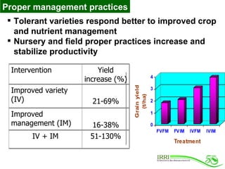 Rice Varieties with Higher Yield and Stress Tolerant Traits for Cropping System Intensification of the Coastal Ganges