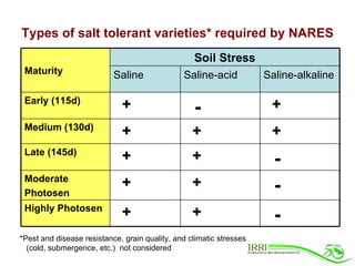 Rice Varieties with Higher Yield and Stress Tolerant Traits for Cropping System Intensification of the Coastal Ganges