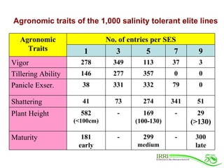 Rice Varieties with Higher Yield and Stress Tolerant Traits for Cropping System Intensification of the Coastal Ganges