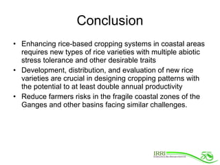 Rice Varieties with Higher Yield and Stress Tolerant Traits for Cropping System Intensification of the Coastal Ganges
