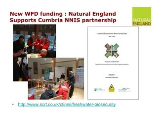 New WFD funding : Natural England  Supports Cumbria NNIS partnership http://www.scrt.co.uk/cfinns/freshwater-biosecurity 