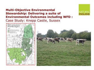 Multi-Objective Environmental Stewardship: Delivering a suite of Environmental Outcomes including WFD :  Case Study: Knepp Castle, Sussex 