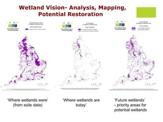 Wetland Vision- Analysis, Mapping, Potential Restoration  3 Headline Maps  ‘ Where wetlands were’ (from soils data) ’ Future wetlands’ - priority areas for potential wetlands ‘ Where wetlands are today’ 