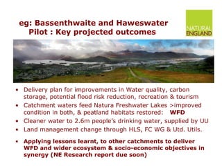 eg: Bassenthwaite and Haweswater Pilot : Key projected outcomes  Delivery plan for improvements in Water quality, carbon storage, potential flood risk reduction, recreation & tourism  Catchment waters feed Natura Freshwater Lakes >improved condition in both, & peatland habitats restored:  WFD   Cleaner water to 2.6m people’s drinking water, supplied by UU Land management change through HLS, FC WG & Utd. Utils. Applying lessons learnt, to other catchments to deliver WFD and wider ecosystem & socio-economic objectives in synergy (NE Research report due soon) 