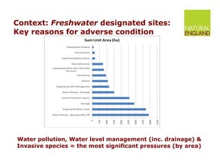 Context:  Freshwater  designated sites: Key reasons for adverse condition Water pollution, Water level management (inc. drainage) & Invasive species = the most significant pressures (by area) 
