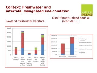 Context: Freshwater and  intertidal designated site condition Lowland freshwater habitats Don’t forget Upland bogs & intertidal .... 