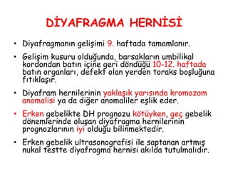 DİYAFRAGMA HERNİSİ
• Diyafragmanın gelişimi 9. haftada tamamlanır.
• Gelişim kusuru olduğunda, barsakların umbilikal
kordondan batın içine geri döndüğü 10-12. haftada
batın organları, defekt olan yerden toraks boşluğuna
fıtıklaşır.
• Diyafram hernilerinin yaklaşık yarısında kromozom
anomalisi ya da diğer anomaliler eşlik eder.
• Erken gebelikte DH prognozu kötüyken, geç gebelik
dönemlerinde oluşan diyafragma hernilerinin
prognozlarının iyi olduğu bilinmektedir.
• Erken gebelik ultrasonografisi ile saptanan artmış
nukal testte diyafragma hernisi akılda tutulmalıdır.
 