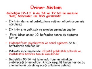Üriner Sistem
Gebeliğin 12-13. h da TA ve TV US ile mesane
%98, böbrekler ise %99 görülebilir
• İlk trim de renal patolojilere rağmen oligohidroamnis
görülmez
• İlk trim sıvı yolk sak ve amnion zarından yapılır
• Fetal idrar ancak 10. haftadan sonra bu sisteme
katılır
• Hidronefroz, piyelektazi ve renal agenezi de bu
haftalarda tanınabilir
• Dikkatli incelemelerde infantil polikistik böbrek ve
multikistik böbrek tanısı konulabilir
• Gebeliğin 10-14 haftalarında tanının mümkün
olabileceği bilinmelidir. Ancak negatif bulgu ileride bu
anomalilerin görülmeyeceği anlamına gelmez.
 