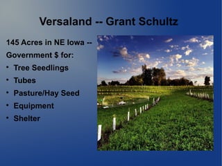 Versaland -- Grant Schultz
145 Acres in NE Iowa --
Government $ for:

Tree Seedlings

Tubes

Pasture/Hay Seed

Equipme...