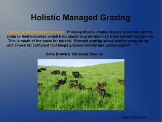 Holistic Managed Grazing
Pasture is dense perennial cover. Photosynthesis creates sugars which are sent to
roots to feed m...