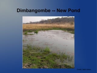 Dimbangombe -- New Pond
Credit: Seth Itzkan
 