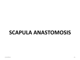 SCAPULA ANASTOMOSIS

2/10/2014

25

 