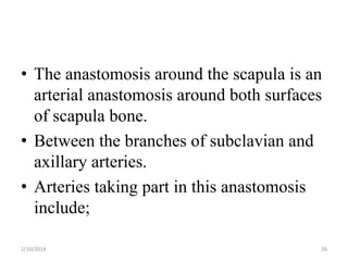 • The anastomosis around the scapula is an
arterial anastomosis around both surfaces
of scapula bone.
• Between the branches of subclavian and
axillary arteries.
• Arteries taking part in this anastomosis
include;
2/10/2014

26

 