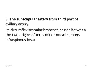 3. The subscapular artery from third part of
axillary artery.
Its circumflex scapular branches passes between
the two origins of teres minor muscle, enters
infraspinous fossa.

2/10/2014

29

 