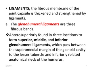 • LIGAMENTS; the fibrous membrane of the
joint capsule is thickened and strengthened by
ligaments.
a. The glenohumeral ligaments are three
fibrous bands.
Anterosuperiorly found in three locations to
form superior, middle, and inferior
glenohumeral ligaments, which pass between
the superomedial margin of the glenoid cavity
to the lesser tubercle and inferiorly related
anatomical neck of the humerus.
2/10/2014

7

 
