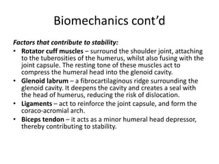 Biomechanics cont’d
Factors that contribute to stability:
• Rotator cuff muscles – surround the shoulder joint, attaching
to the tuberosities of the humerus, whilst also fusing with the
joint capsule. The resting tone of these muscles act to
compress the humeral head into the glenoid cavity.
• Glenoid labrum – a fibrocartilaginous ridge surrounding the
glenoid cavity. It deepens the cavity and creates a seal with
the head of humerus, reducing the risk of dislocation.
• Ligaments – act to reinforce the joint capsule, and form the
coraco-acromial arch.
• Biceps tendon – it acts as a minor humeral head depressor,
thereby contributing to stability.
 