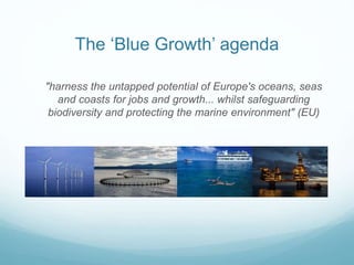 How can evolving marine governance 
frameworks support development of 
innovative new marine industries, while 
also prote...