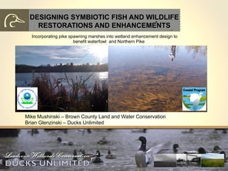 DESIGNING SYMBIOTIC FISH AND WILDLIFE
RESTORATIONS AND ENHANCEMENTS
Incorporating pike spawning marshes into wetland enhancement design to
benefit waterfowl and Northern Pike

Mike Mushinski – Brown County Land and Water Conservation
Brian Glenzinski – Ducks Unlimited

 