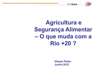 Agricultura e
Segurança Alimentar
– O que muda com a
     Rio +20 ?

      Gleyse Peiter
      Junho 2012
 