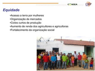 Equidade
   •Acesso a terra por mulheres
   •Organização de mercados
   •Ciclos curtos de produção
   •Aumento de renda dos agricultores e agricultoras
   •Fortalecimento da organização social
 