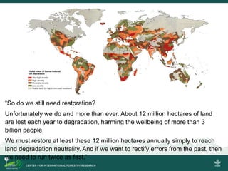A personal take on forest landscapes restoration in Africa