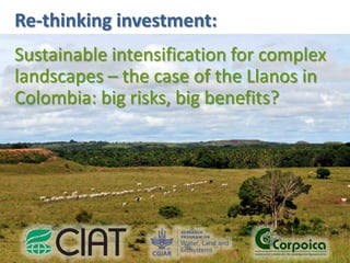 Re-thinking investment:
Sustainable intensification for complex
landscapes – the case of the Llanos in
Colombia: big risks, big benefits?

 