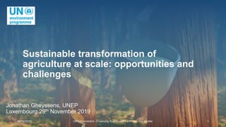 04/12/2019 UN Environment - Financing Sustainable Land Use - Ivo Mulder 1
Sustainable transformation of
agriculture at scale: opportunities and
challenges
Jonathan Gheyssens, UNEP
Luxembourg 29th November 2019
 