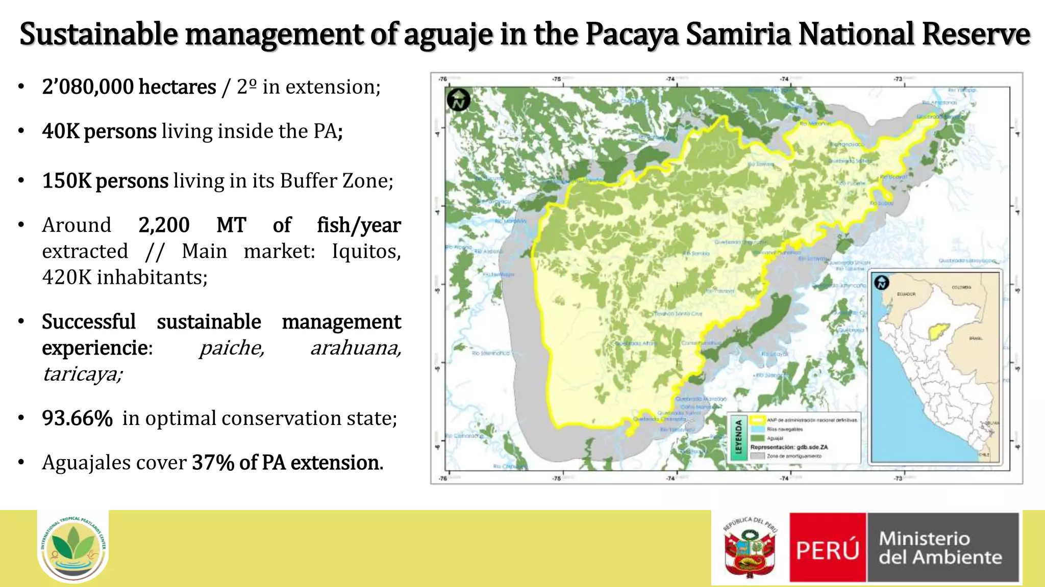InternationalTropical PeatlandsCenter (ITPC)
• 2’080,000 hectares / 2º in extension;
• 40K persons living inside the PA;
• 150K persons living in its Buffer Zone;
• Around 2,200 MT of fish/year
extracted // Main market: Iquitos,
420K inhabitants;
• Successful sustainable management
experiencie: paiche, arahuana,
taricaya;
• 93.66% in optimal conservation state;
• Aguajales cover 37% of PA extension.
Sustainable management of aguaje in the Pacaya Samiria National Reserve
 