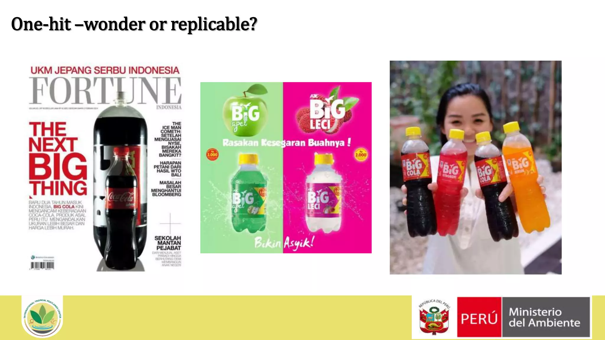 InternationalTropical PeatlandsCenter (ITPC)
One-hit –wonder or replicable?
 