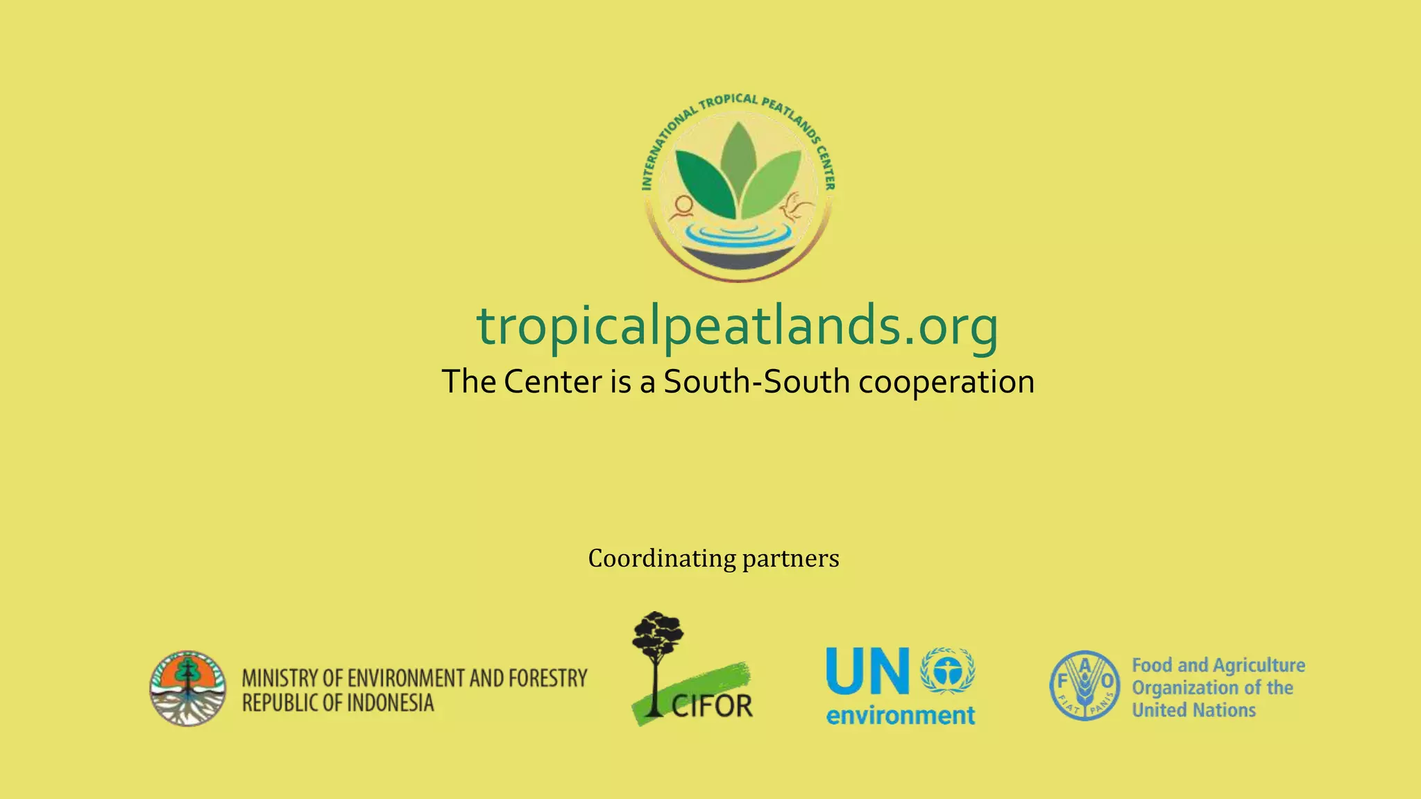 tropicalpeatlands.org
The Center is a South-South cooperation
Coordinating partners
 