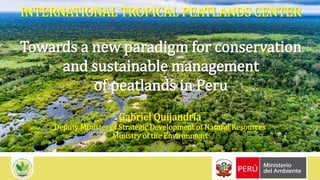 INTERNATIONAL TROPICAL PEATLANDS CENTER
Towards a new paradigm for conservation
and sustainable management
of peatlands in Peru
Gabriel Quijandría
Deputy Minister of Strategic Development of Natural Resources
Ministry of the Environment
 
