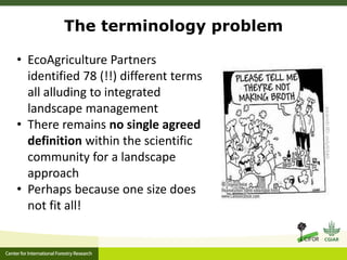 ‘Integrated Landscape Approaches’: A systematic map 
