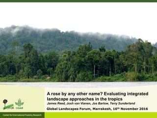 A rose by any other name? Evaluating integrated
landscape approaches in the tropics
James Reed, Josh van Vianen, Jos Barlow, Terry Sunderland
Global Landscapes Forum, Marrakesh, 16th November 2016
 