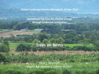 Trees on farms
Global Landscape Forum, Marrakech, 16 Nov 2016
Henry Neufeldt
World Agroforestry Centre (ICRAF)
Unexplored big wins for climate change
through landscape restoration
 