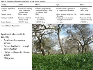 Trees on farms: Unexplored big wins for climate change  through landscape restoration