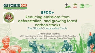 thumbnail of  REDD+ Reducing emission from deforestation, and growing forest carbon stocks – GLF Forests 2025