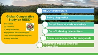 REDD+ Reducing emission from deforestation, and growing forest carbon ...