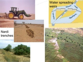 Water spreading
weirs

Nardi
trenches

 