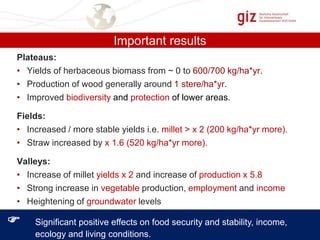 Important results
Plateaus:
• Yields of herbaceous biomass from ~ 0 to 600/700 kg/ha*yr.
• Production of wood generally around 1 stere/ha*yr.
• Improved biodiversity and protection of lower areas.
Fields:
• Increased / more stable yields i.e. millet > x 2 (200 kg/ha*yr more).
• Straw increased by x 1.6 (520 kg/ha*yr more).
Valleys:
• Increase of millet yields x 2 and increase of production x 5.8
• Strong increase in vegetable production, employment and income
• Heightening of groundwater levels



Significant positive effects on food security and stability, income,
ecology and living conditions.

 
