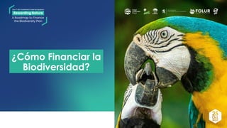 thumbnail of  ¿Cómo financiar la Biodiversidad? Climate Finance Terra Global Capital