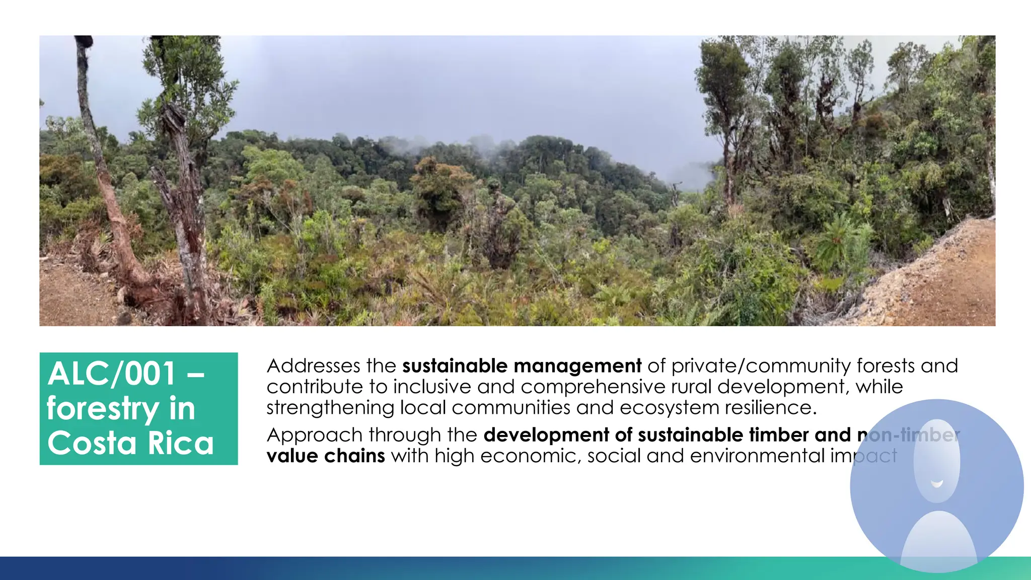 Promoting private and community forestry: Pathways to sustainable value ...