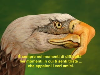 È sempre nei momenti di difficoltà   nei momenti in cui ti senti triste ... che appaioni i veri amici. 