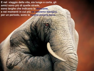 E nel  viaggio della vita, sia lunga o corta, gli amici sono più di quelle strade, sono targhe che indicano la  direzione, e nei momenti in cui più  ne abbiamo bisogno, , per un periodo, sono la  nostra propria terra.  