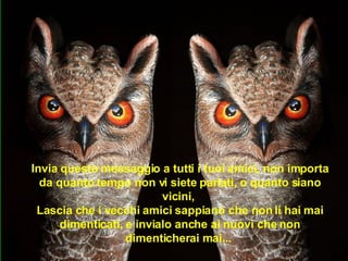 Invia questo messaggio a tutti i tuoi amici, non importa da quanto tempo non vi siete parlati, o quanto siano vicini,  Lascia che i vecchi amici sappiano che non li hai mai dimenticati, e invialo anche ai nuovi che non dimenticherai mai...   