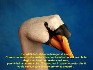 Ricordati, tutti abbiamo bisogno di amici.  Ci sono  momenti nella nostra vita che ci sentiremo soli, ma chi ha degli amici veri non resterà mai solo,  perchè hai la certezza che c’è qualcuno, in qualche posto, che ti vuole bene, e sarà sempre pronto ad aiutarti....  