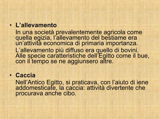 L’allevamento In una società prevalentemente agricola come quella egizia, l’allevamento del bestiame era un’attività economica di primaria importanza. L’allevamento più diffuso era quello di bovini. Alle specie caratteristiche dell’Egitto come il bue, con il tempo se ne aggiunsero altre. Caccia Nell’Antico Egitto, si praticava, con l’aiuto di iene addomesticate, la caccia: attività divertente che procurava anche cibo. 